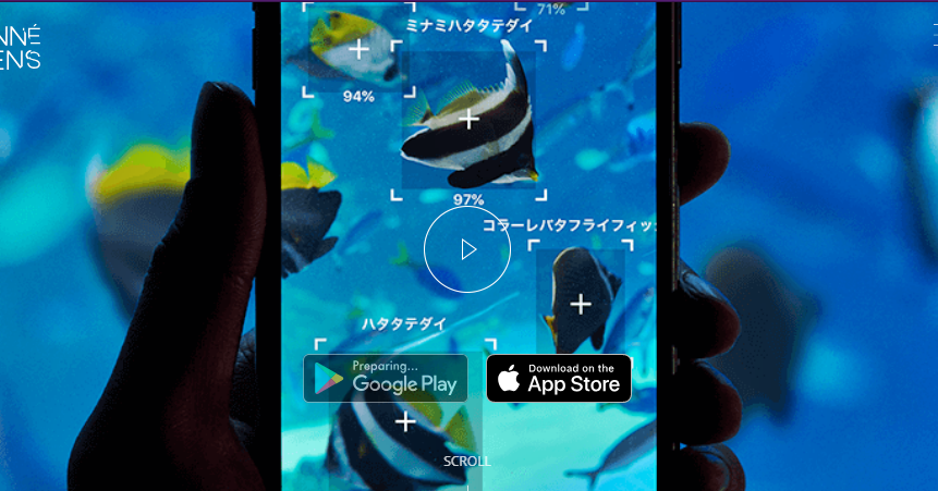 New App Recognizes Underwater Creatures in Aquariums in Japan