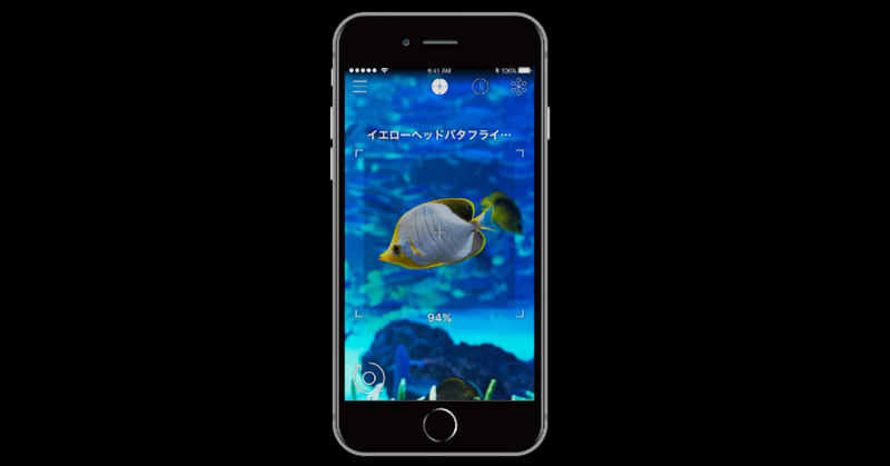 New App Recognizes Underwater Creatures in Aquariums in Japan