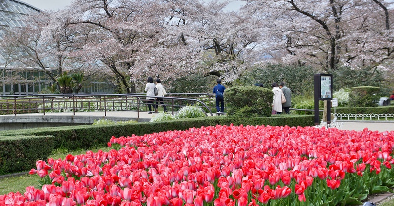 Kyoto Remains No. 1 Best City Outside Tokyo