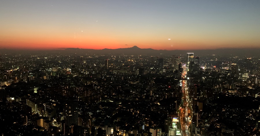 10 Best Night Views in Tokyo