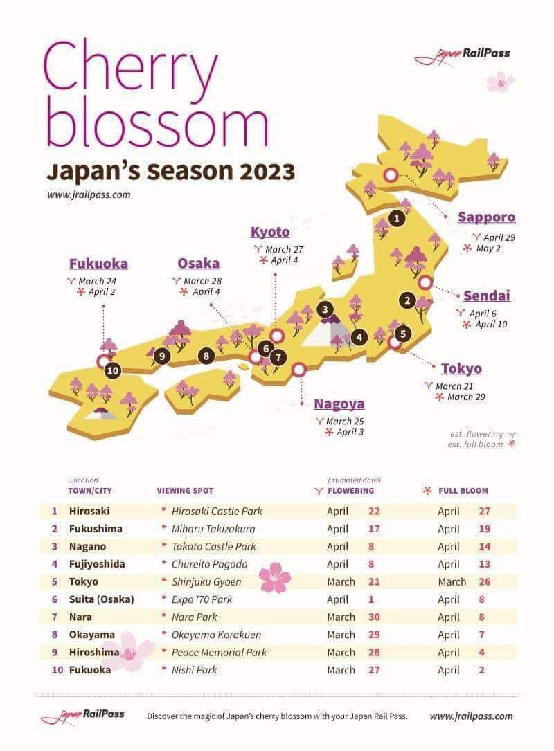 Guide To Japan Cherry Blossom Season 2023 Japan OFW
